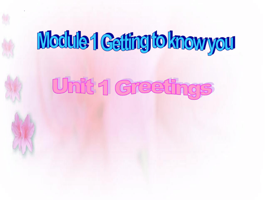 Module 1  Unit 1 Greetings  课件（共24张PPT）