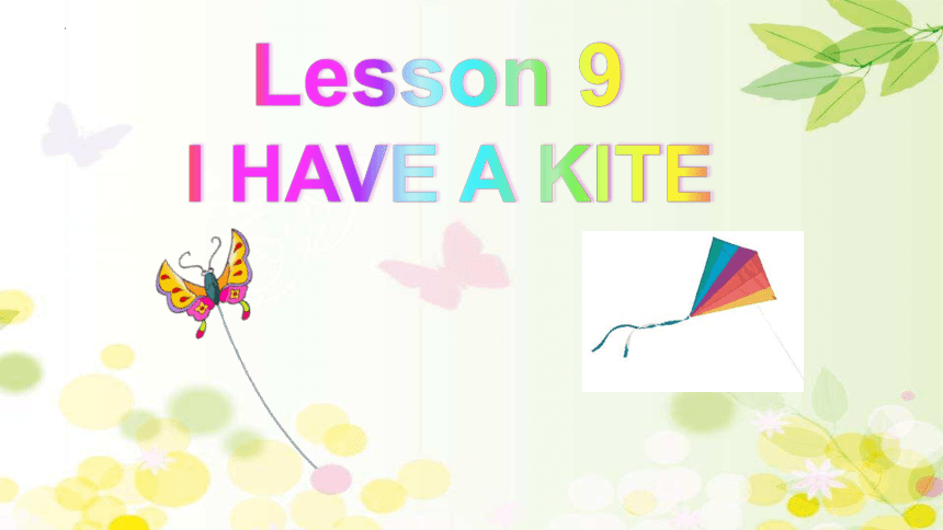 Lesson 9 I have a kite  课件(共14张PPT)