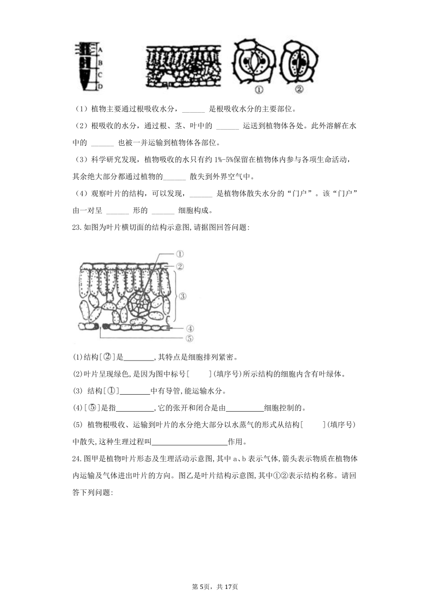 3.3绿色植物与生物圈的水循环同步练习(word版含解析）