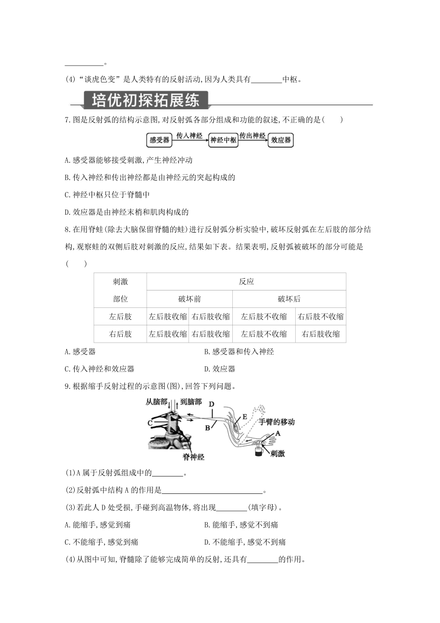 浙教版科学八年级上册同步提优训练：3.3  神经调节 第2课时（含解析）