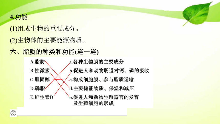 高考生物专题课件3：蛋白质、核酸、糖类和脂质(共72张PPT)