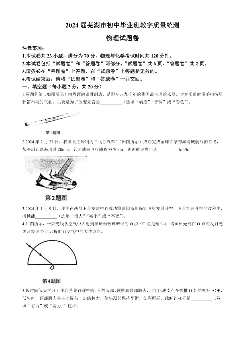 2024年安徽省芜湖市初中毕业班教学质量统测物理（含答案）