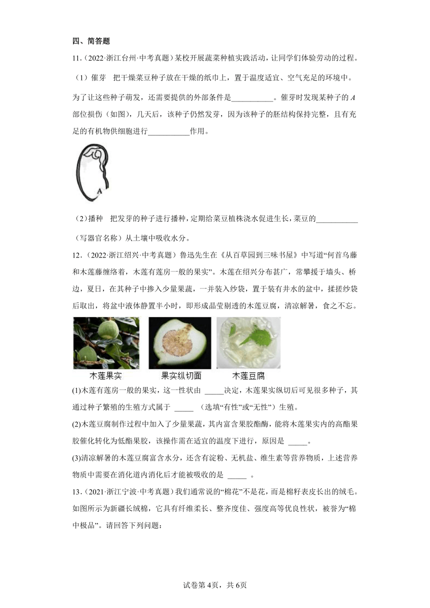 09细菌和真菌的繁殖、植物的生殖与发育-浙江省各地区2020-2022中考科学真题汇编（含解析）