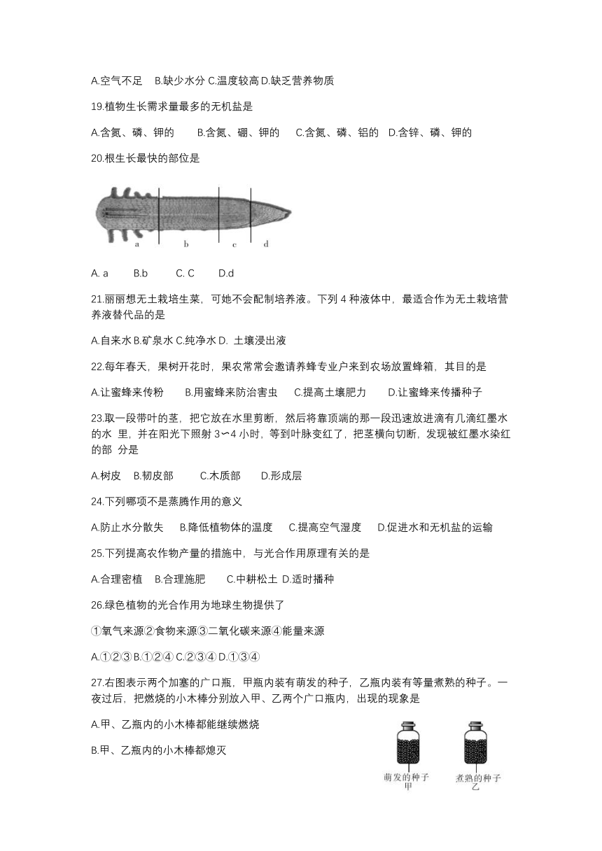 山西省太原市风帆中学2022-2023学年上学期期末考试七年级生物试卷（无答案）