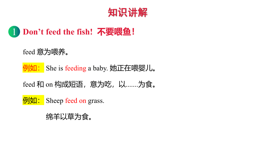 Module 1 Unit 2 Don’t feed the fish课件（17张PPT）