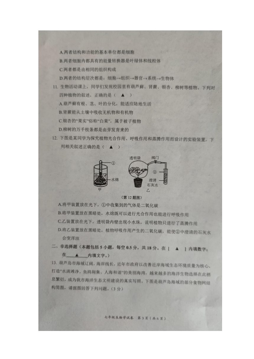辽宁省葫芦岛市2022-2023学年七年级上学期期末生物试题（图片版含答案）