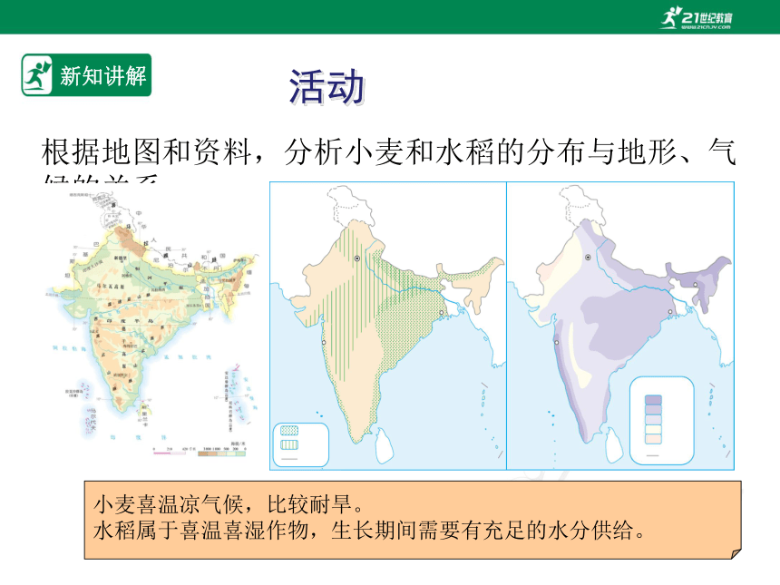 人教版七年级地理 下册 第七章 7.3 印度 第2课时 课件（共38张PPT）