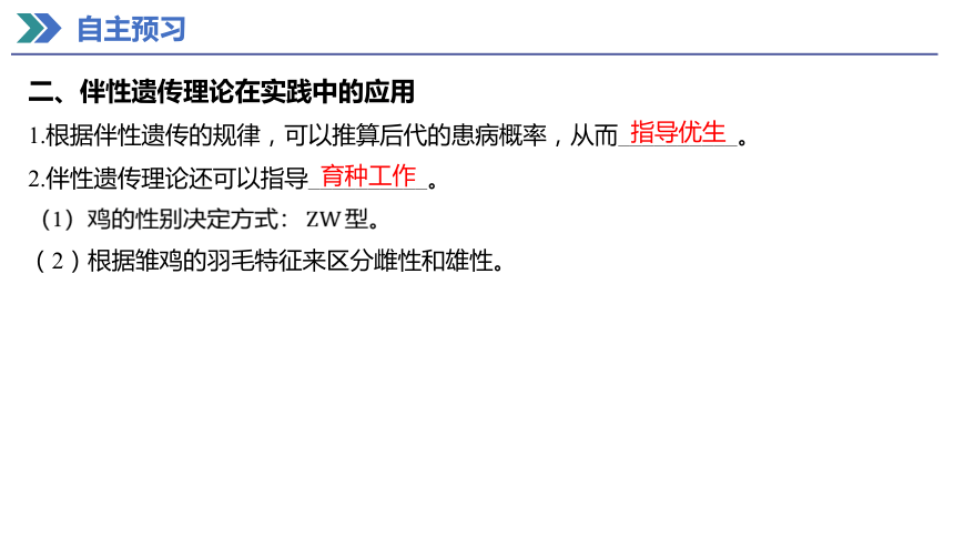 2.3 伴性遗传 课件(共40张PPT) 2023-2024学年高一生物人教版（2019）必修第二册