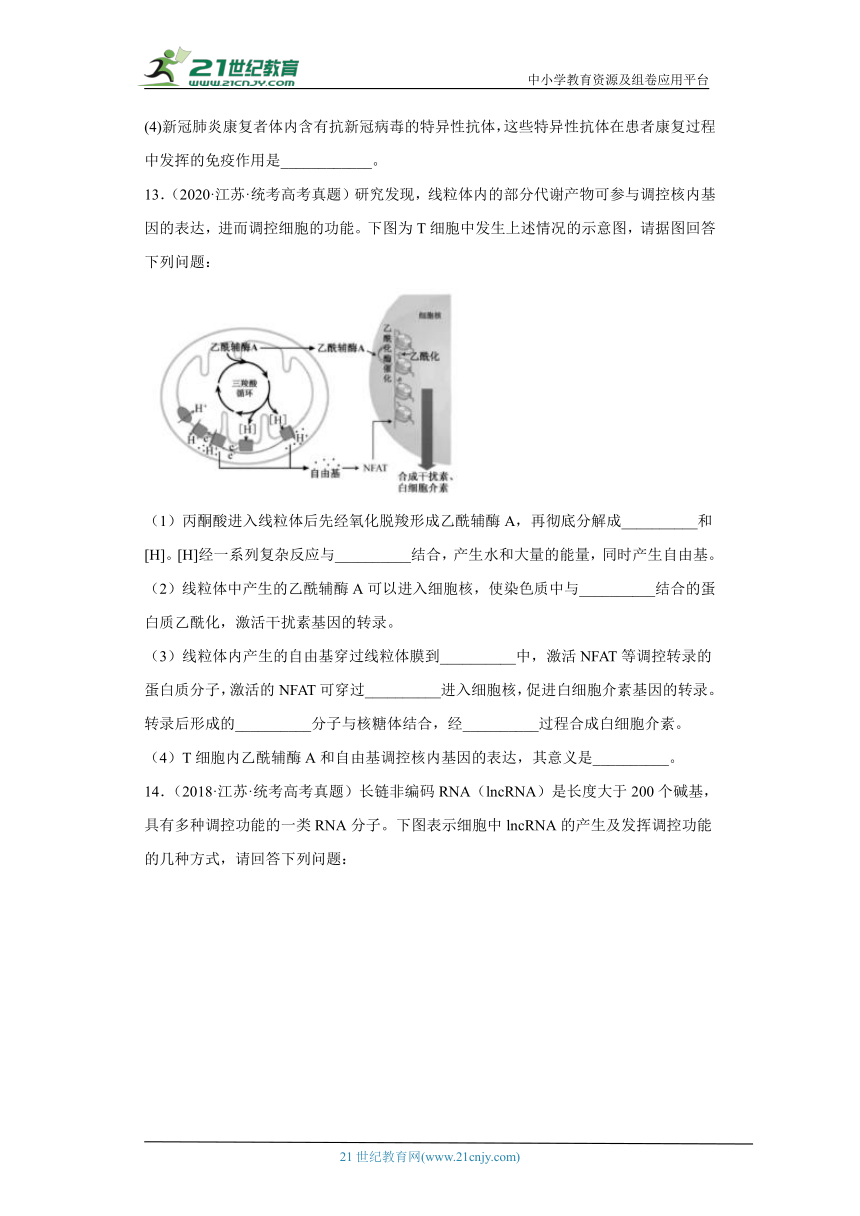 五年2018-2022高考生物真题按知识点分类汇编64-免疫调节-免疫系统的组成和功能（含解析）