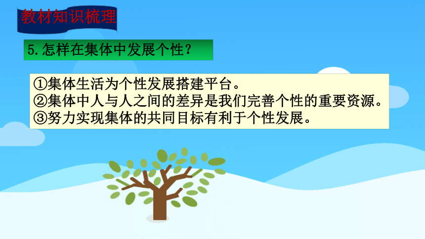 【新课标】2023年中考道法一轮复习专题二十五 热爱集体 关心国家课件(共68张PPT)