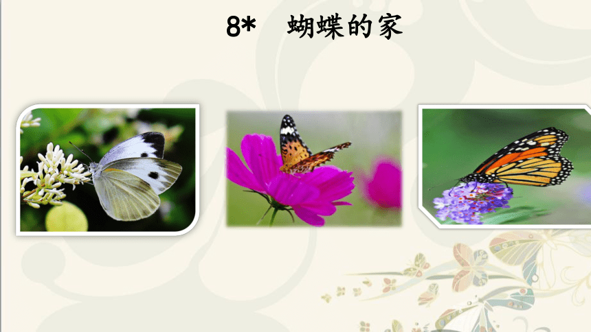 8 蝴蝶的家   课件 (共15张PPT)