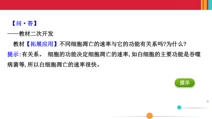 （新人教）生物必修一课件：6.3细胞的衰老和死亡(共35张PPT)