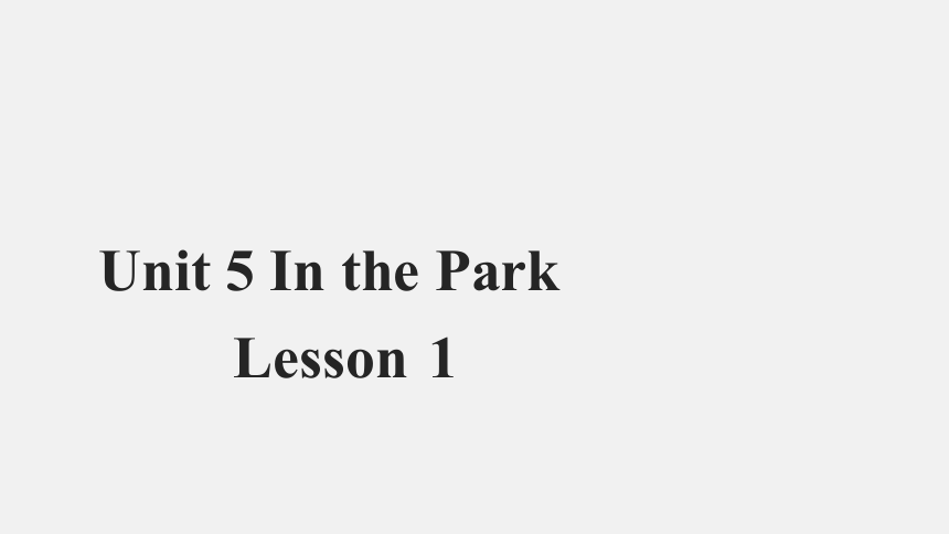 Unit 5  In the Park Lesson 1 参考课件（共15张ppt）