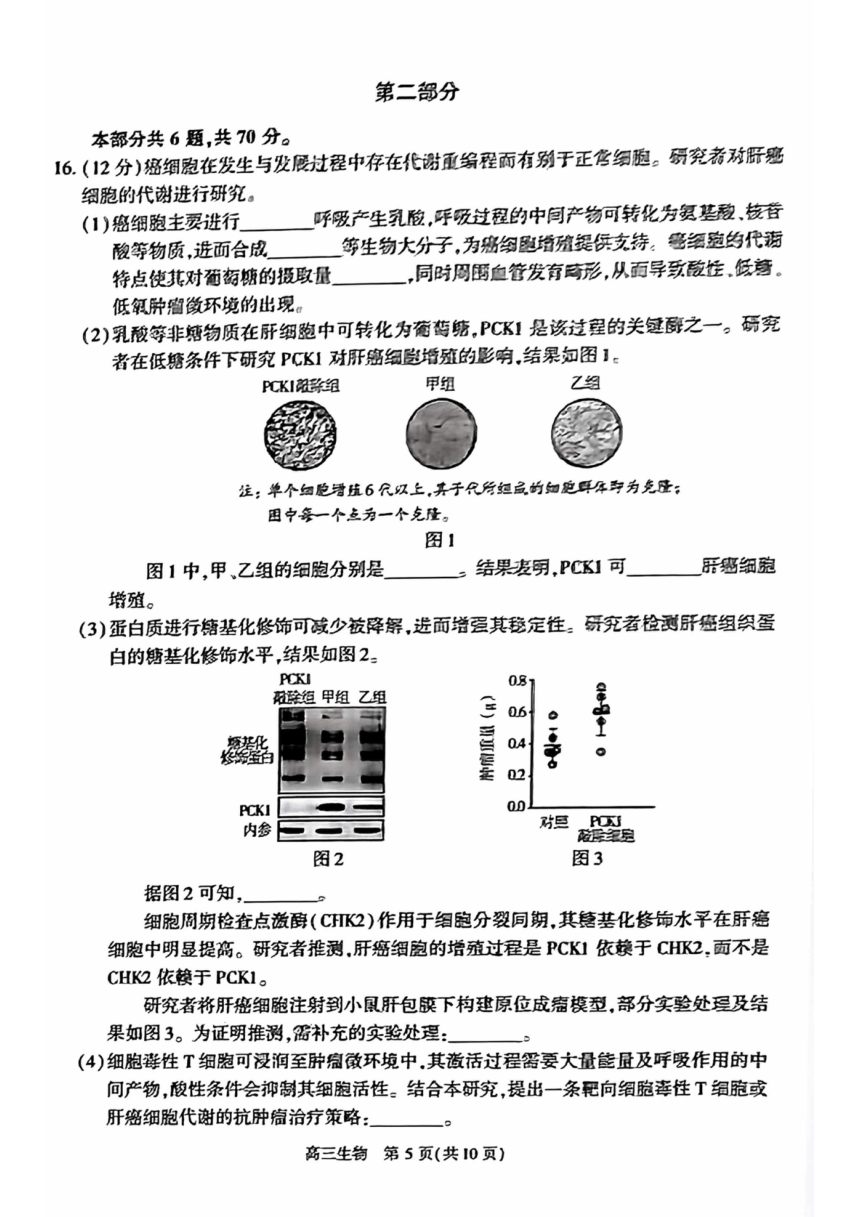 北京市朝阳区2023届高三一模生物试卷（PDF版含答案）