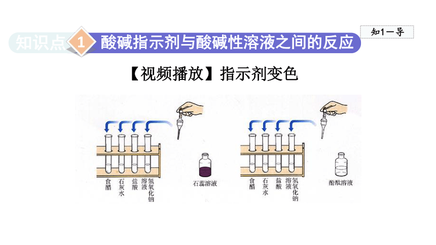 10.1.1 酸碱与酸碱指示剂作用  课件   人教版九年级下册化学   (共23张PPT)