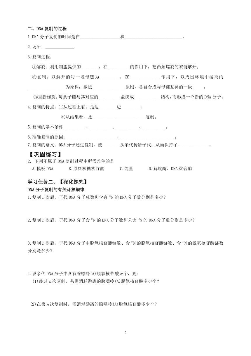 高中生物学人教版（2019）必修2-3.3 DNA的复制  学案（含答案）