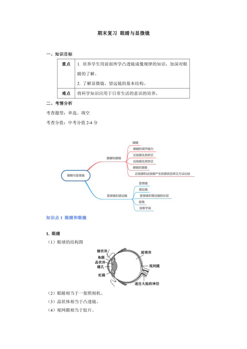 人教版八年级物理上册 _《眼睛与显微镜》 期末复习 学案（无答案）