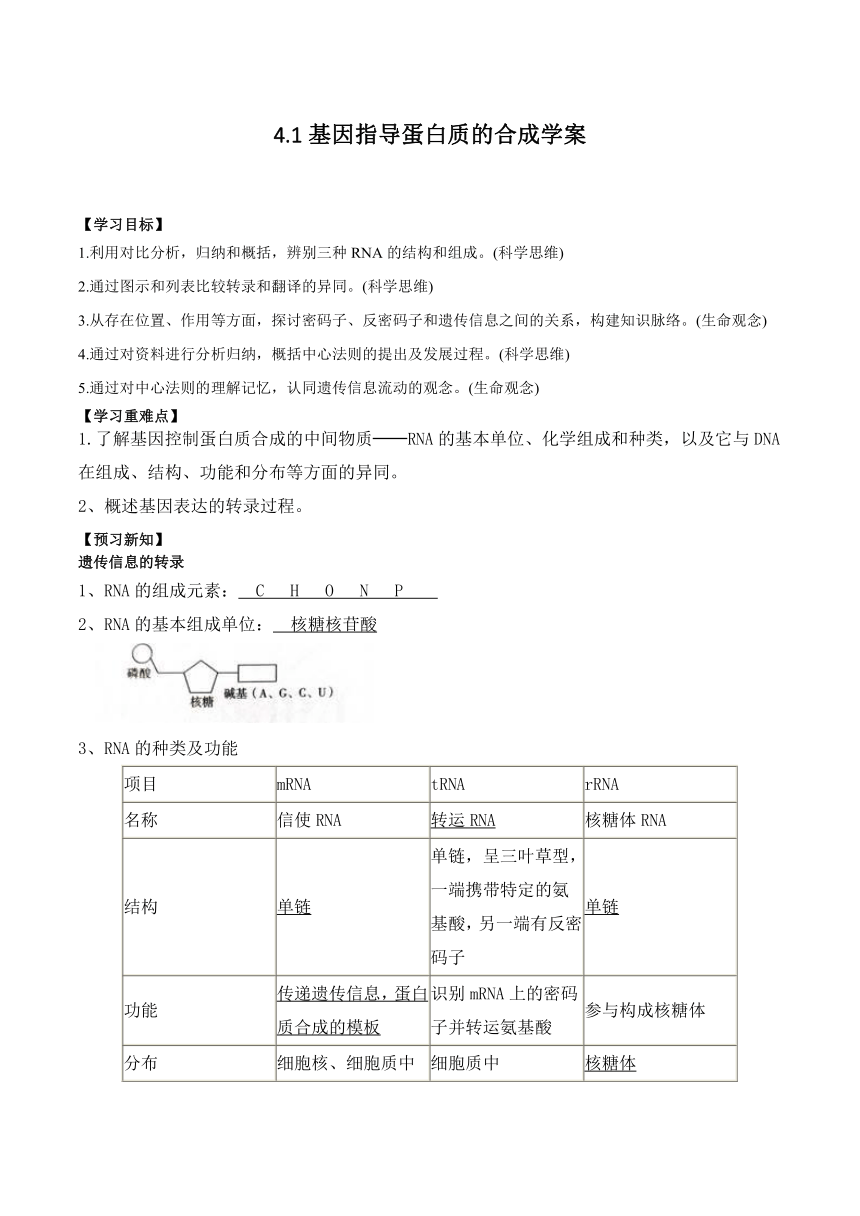 4.1 基因指导蛋白质的合成学案