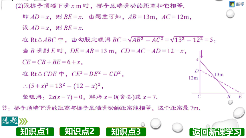 【分层教学方案】第17课时 应用一元二次方程 课件