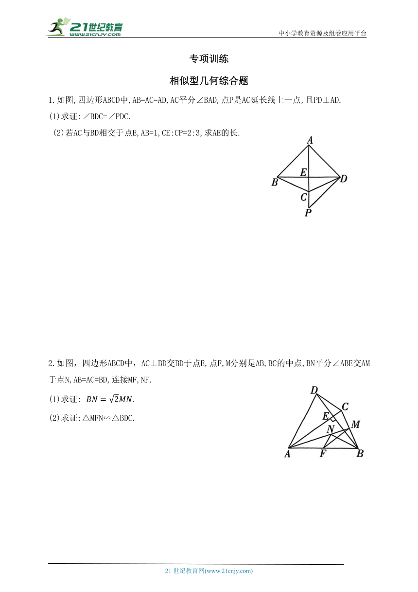 专项训练  相似型几何综合题（含答案）