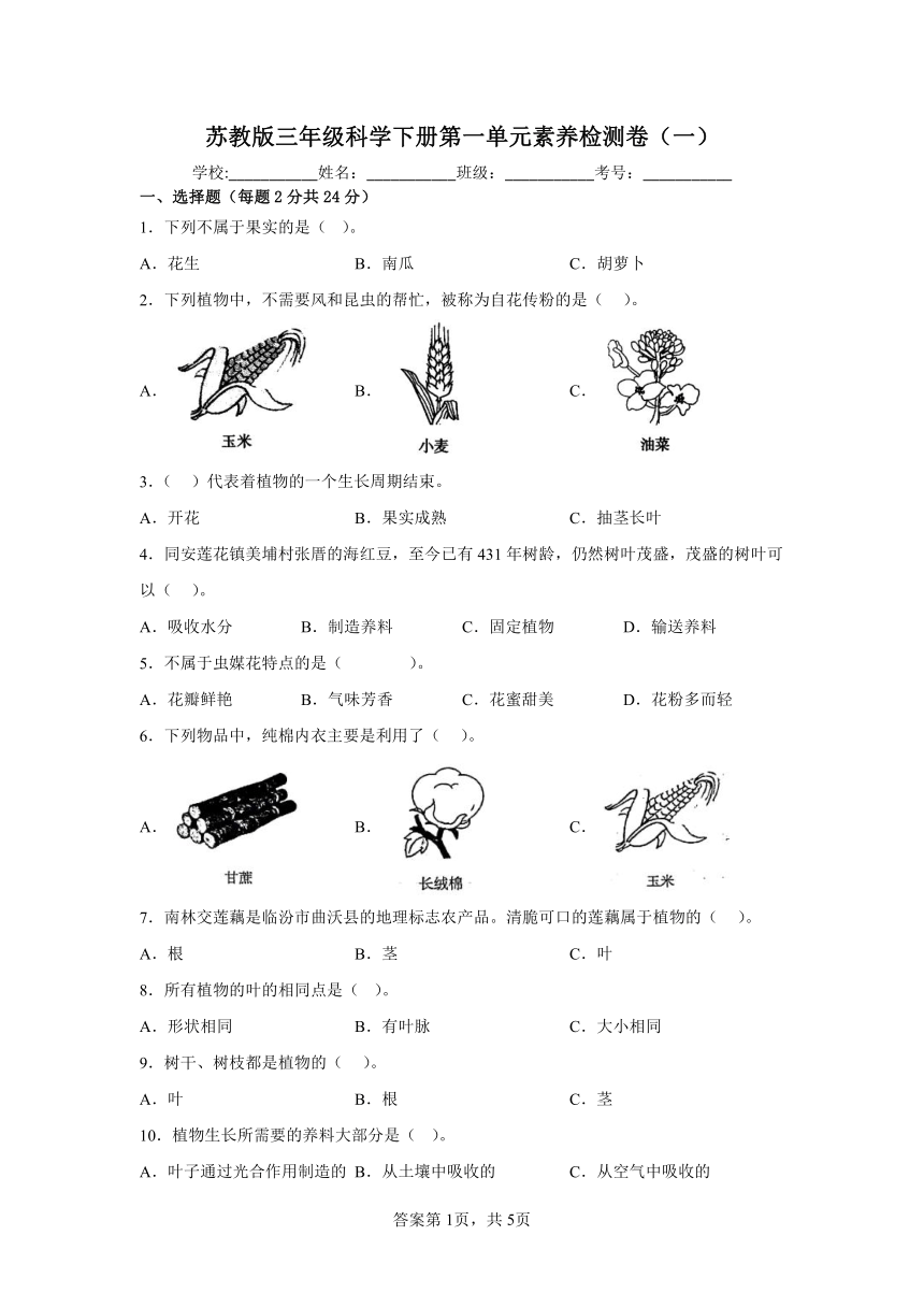 苏教版三年级科学下册第一单元素养检测卷（一）（含答案）