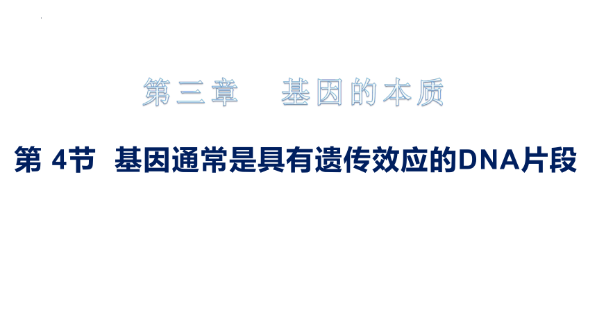 3.4基因通常是具有遗传效应的DNA片段(共31张PPT)课件