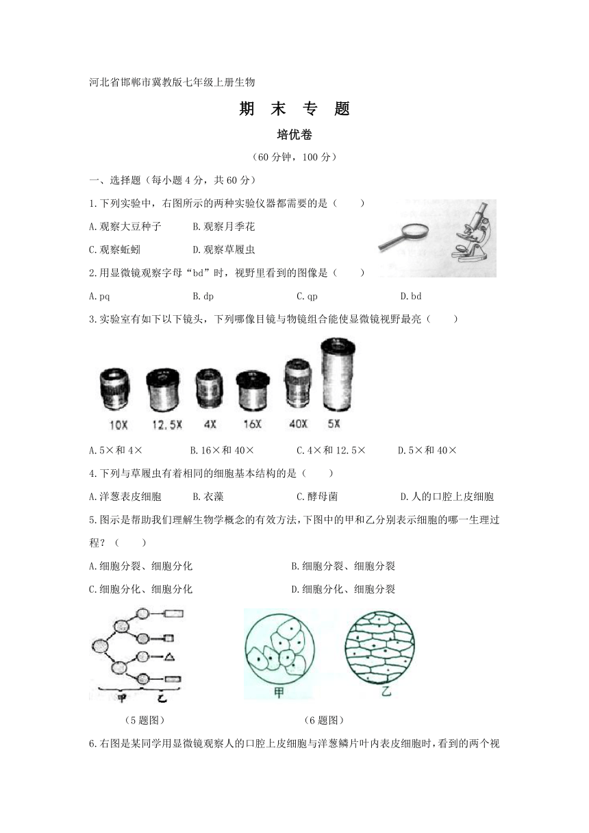 【期末复习】生物七年级上册  期末模拟卷（培优卷）（原卷+答案+答题纸）