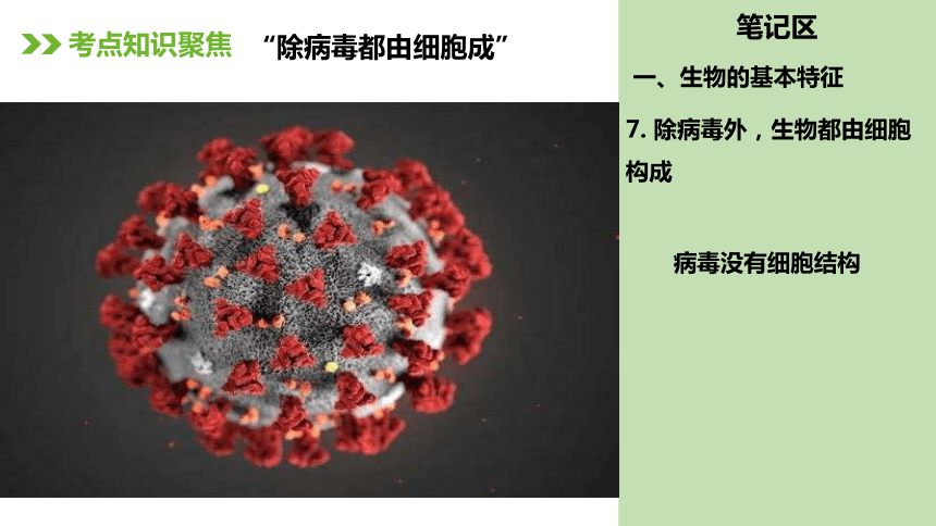 人教版七年级生物上册复习课件（117张ppt)