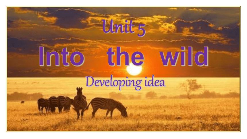外研版（2019）必修 第一册Unit 5 Into the wild Developing ideas 课件(共19张PPT)
