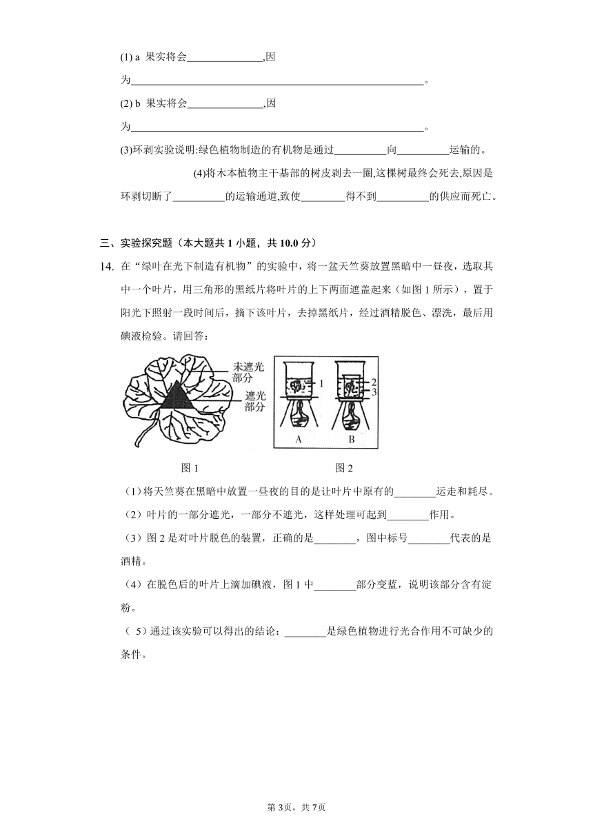 2022-2023学年人教版生物七年级上册 3.4绿色植物是生物圈中有机物的制造者同步练习(word版含解析）