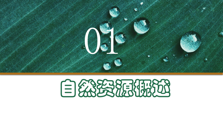 1.1自然资源与人类活动课件（共88张PPT）