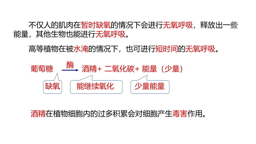 4.4 能量的获得(课件 21张PPT)