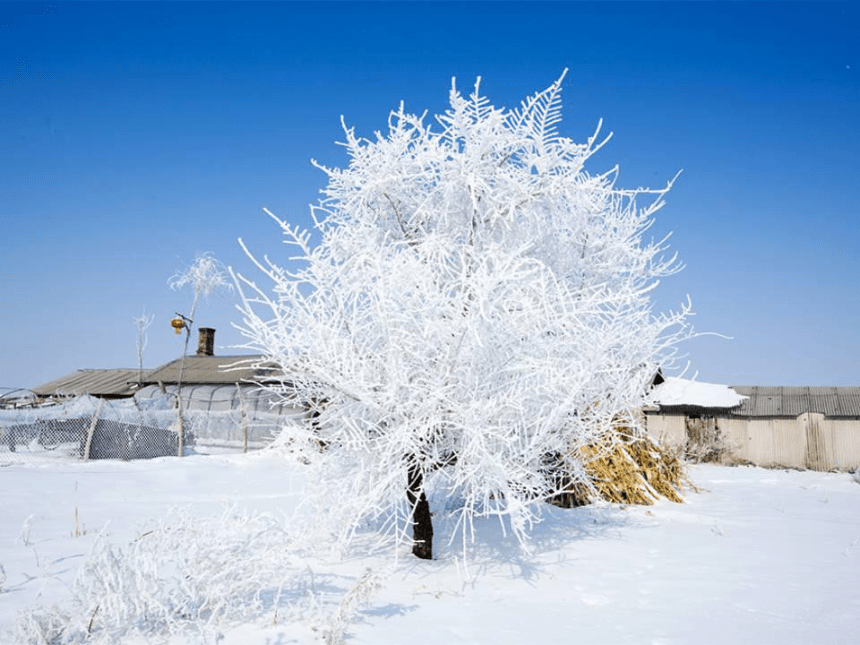 苏科版八年级上册 物理 课件 2.4升华和凝华（18张）