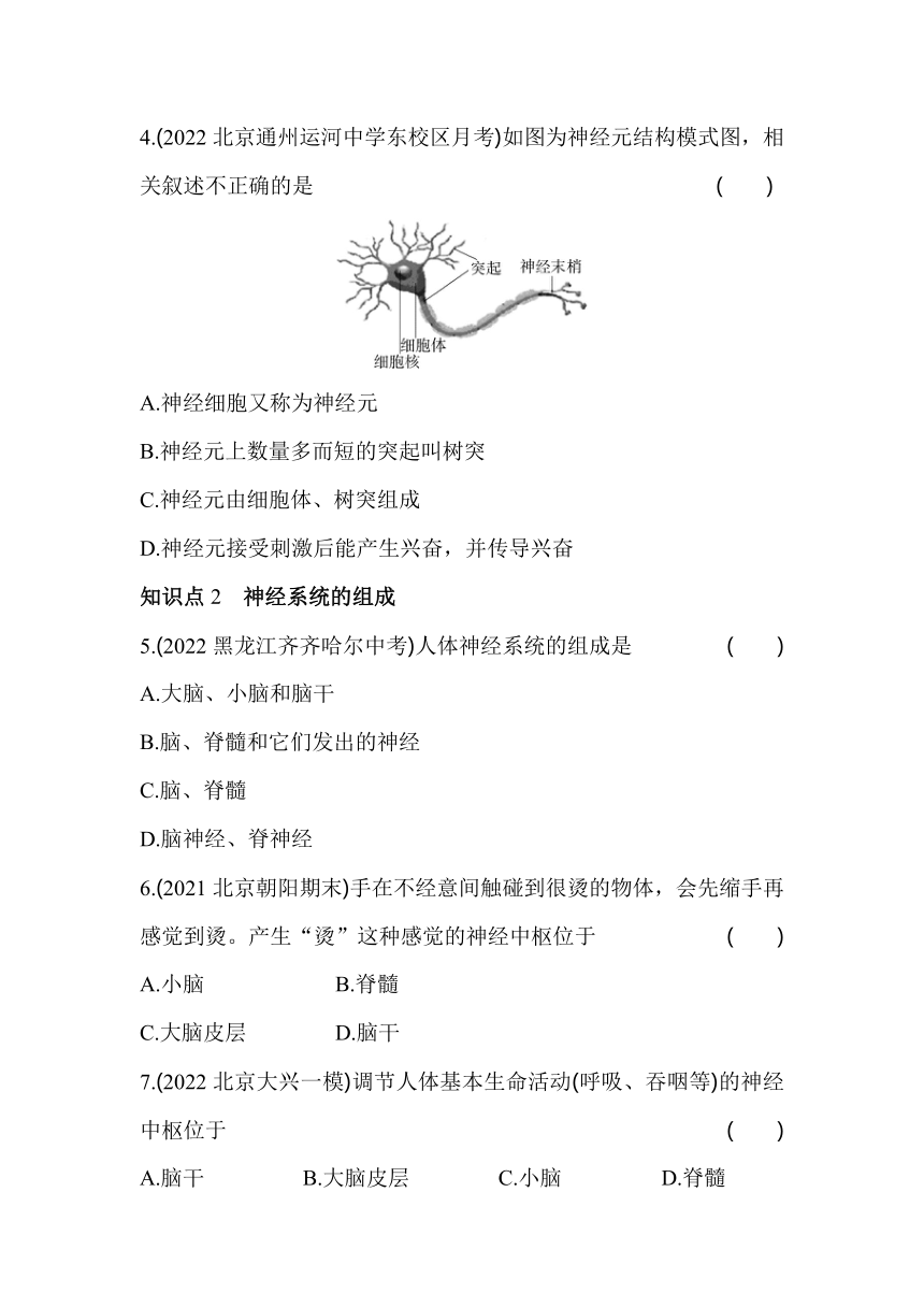 8.1 神经系统的组成 同步练习（含解析）北京课改版生物七年级下册