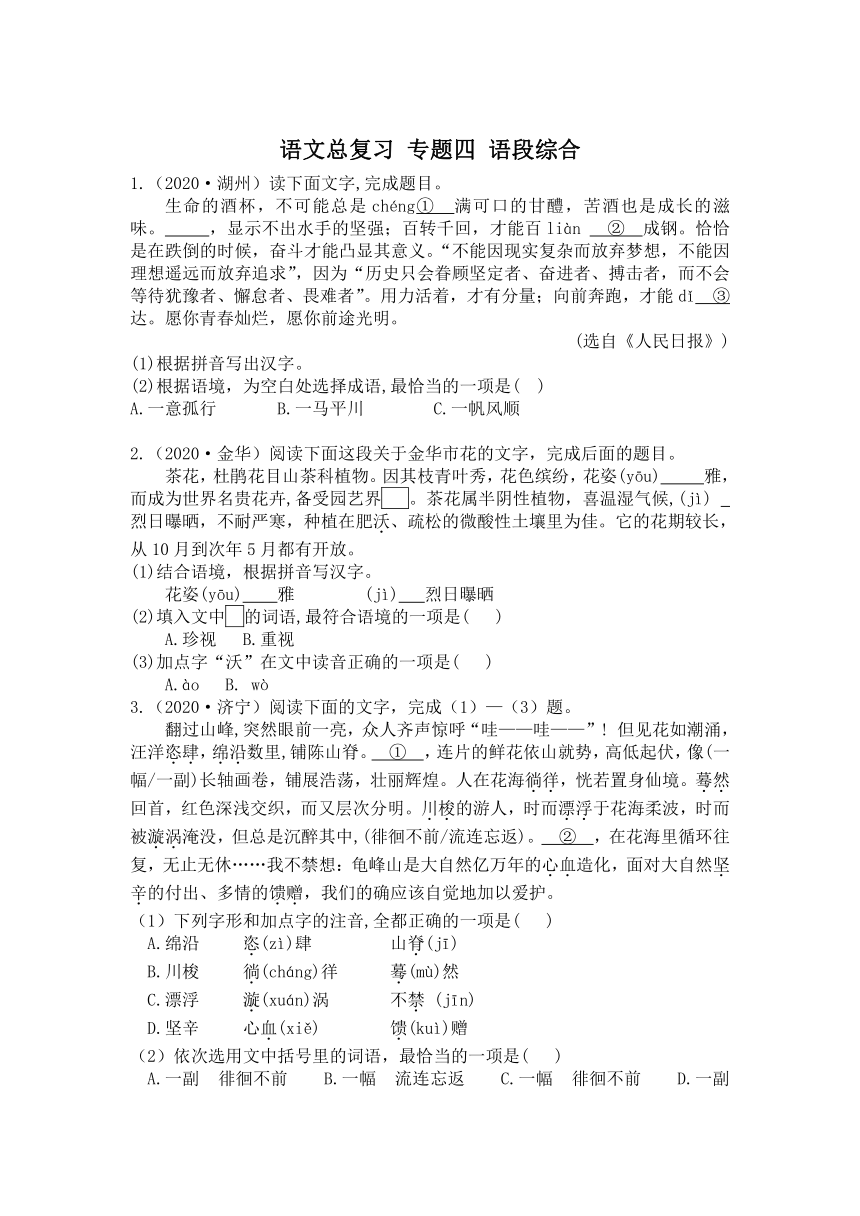 2021年中考语文二轮复习训练 专题四  语段综合（含答案解析）