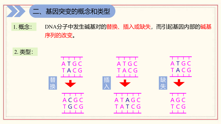 4.1 基因突变可能引起性状改变(共46张PPT)  高中生物 浙科版 必修二