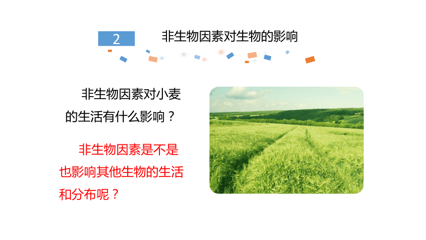 2021—2022学年人教版七年级上册1.2.1 生物与环境的关系课件(共45张PPT)