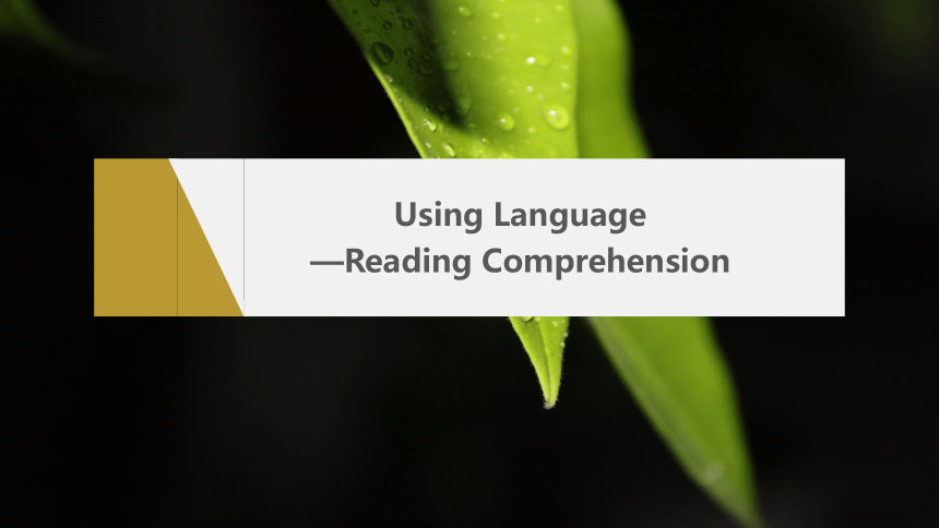 Unit 4 Period 4　Using Language—Reading Comprehension课件（共26张PPT）人教版（2019）选择性必修 第三册