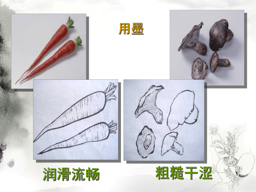 人美版（北京）  五年级上册 美术 第17课 蔬果白描 课件（共24张PPT）