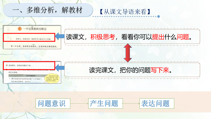 5 一个豆荚里的五粒豆 说课课件（24张PPT）