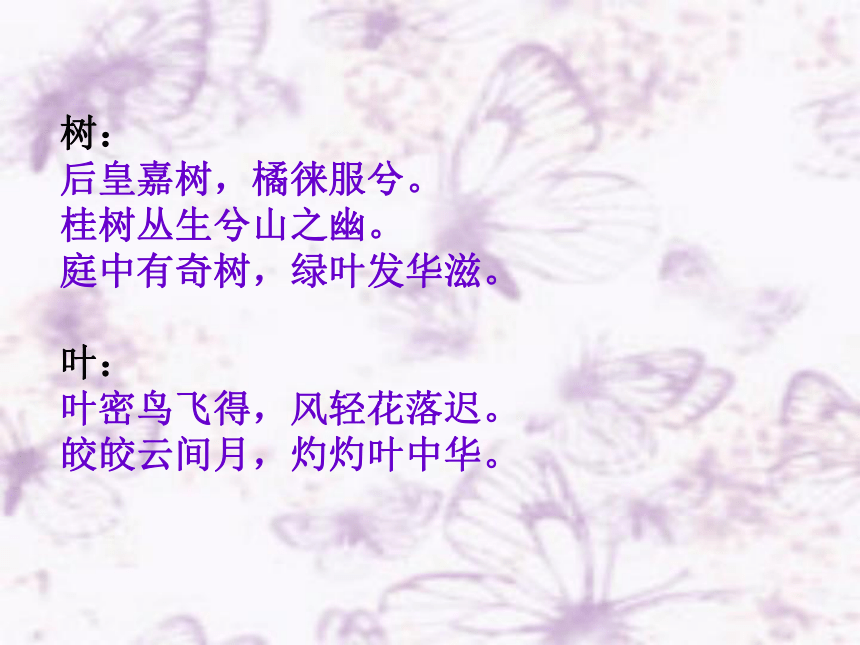 9.《说“木叶”》课件（共47张PPT）2022-2023学年统编版高中语文必修下册