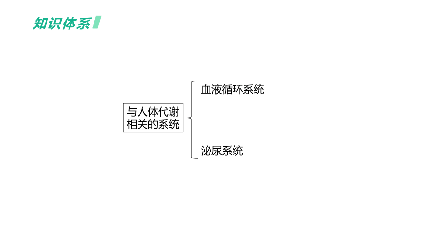 2022年浙江省中考科学一轮复习 第07课时　与人体代谢相关的系统-循环和泌尿（课件 54张PPT）