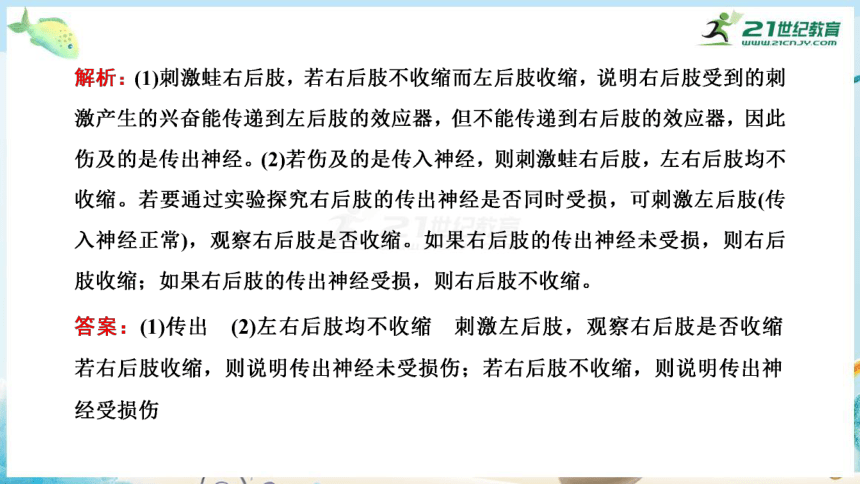 高三生物三轮复习专项突破10  生命活动调节相关实验分析与探究（共29张PPT）