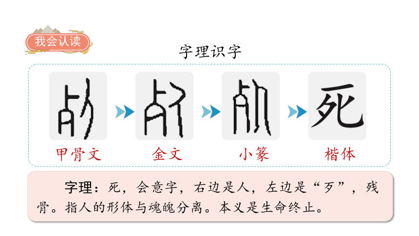 5 小公鸡和小鸭子课件（50张)