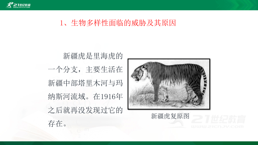 6.3保护生物的多样性 课件(共30张PPT)