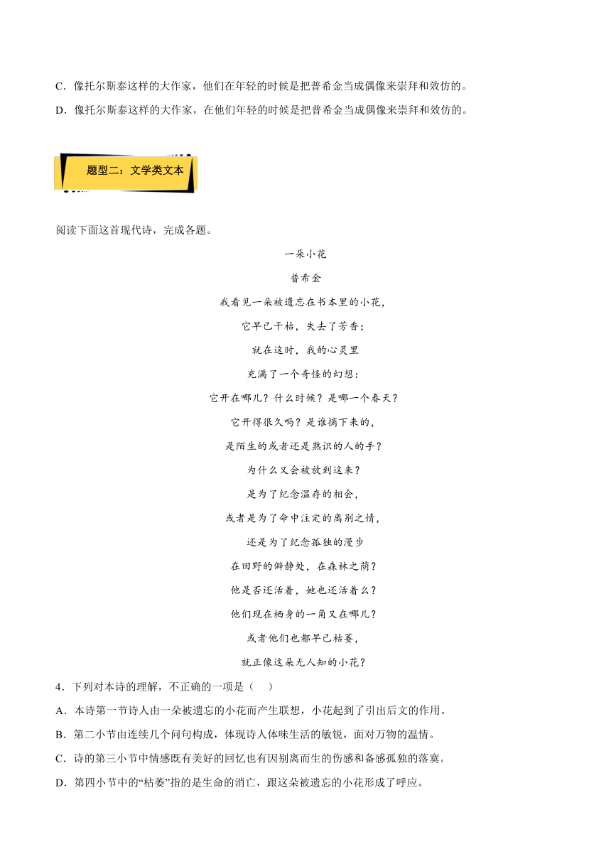 13.2《致大海》（分层作业）（含解析）统编版2023学年高二语文选择性必修中册含解析