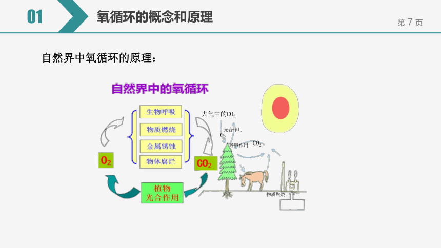 【备考2022】中考化学一轮复习微专题课件  29自然界的氧循环（15张ppt）