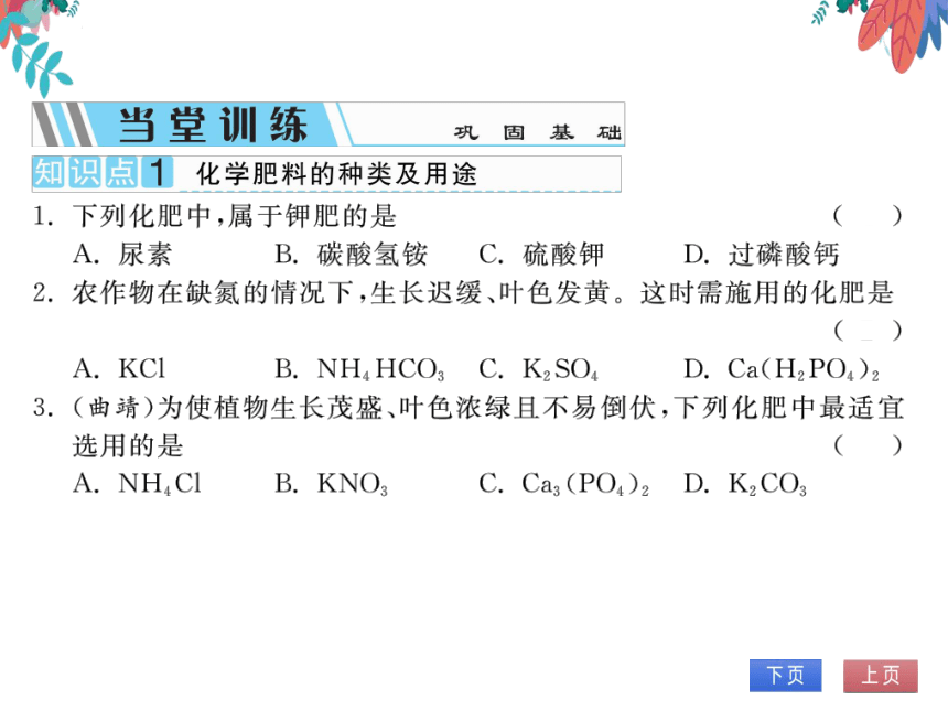 【人教版】化学九年级下册-第十一单元 课题2 化学肥料 (习题课件)