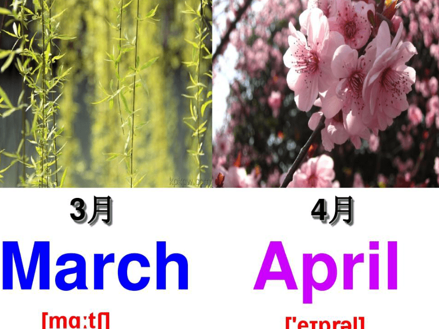 Unit 2 Lesson 7 Months of the Year 课件(共17张PPT)
