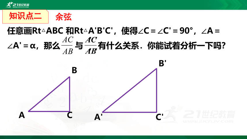 1.1.2 锐角三角函数（第2课时）  课件（共21张PPT）